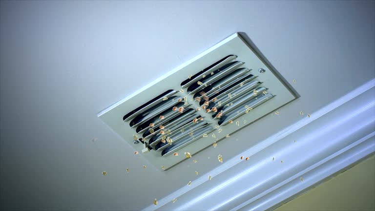 Best Best Air Duct Cleaning Near Me  in Riverdale, IL